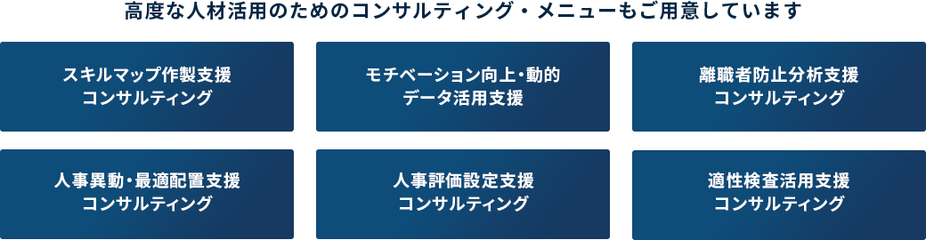 高度な人材活用のためのコンサルティング・メニューもご用意しています