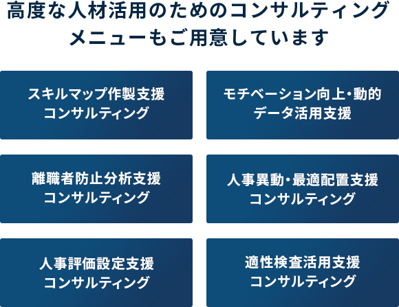 高度な人材活用のためのコンサルティング・メニューもご用意しています